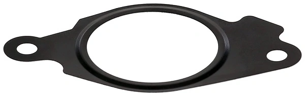 Gasket, EGR valve 689.330