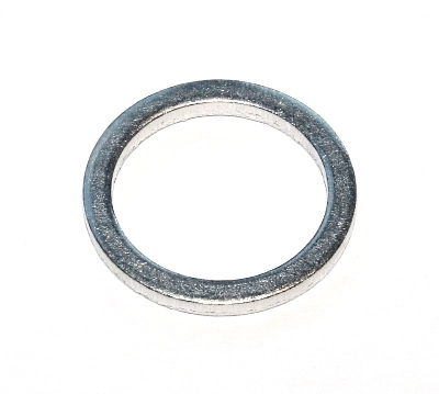 Seal Ring 239.003