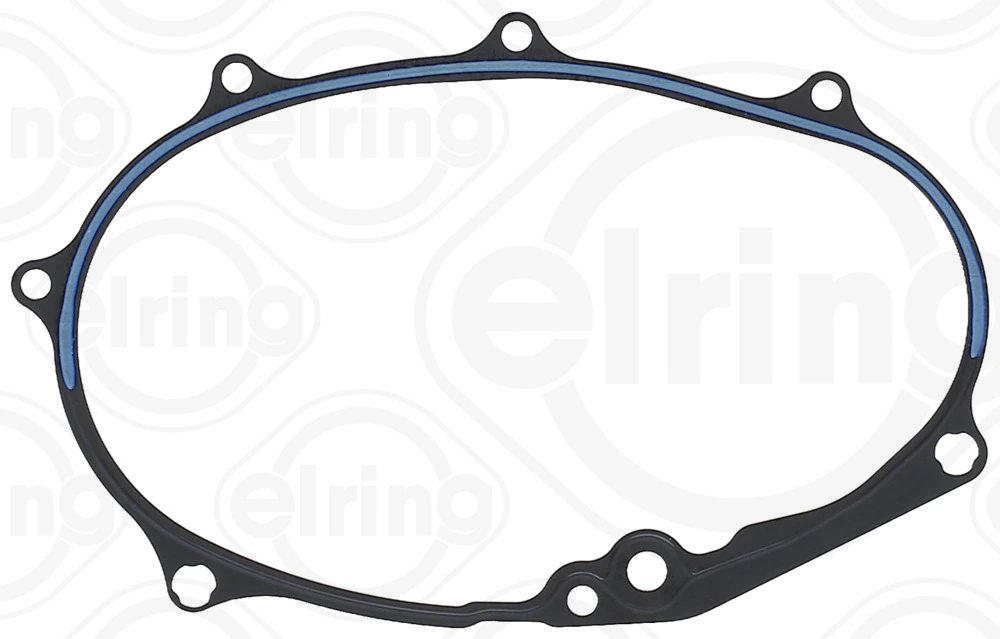 Gasket, timing case 876.673