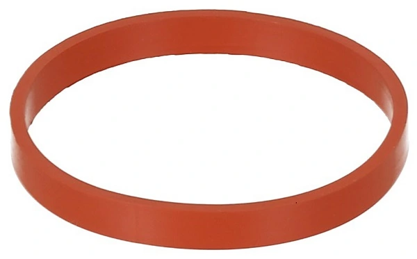 Gasket, intake manifold 577.630