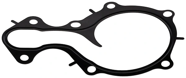 Gasket, water pump 650.190