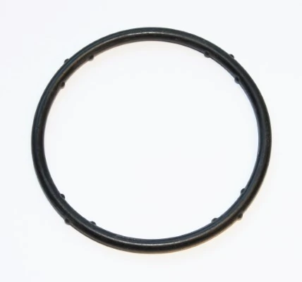 Gasket, coolant flange 625.270