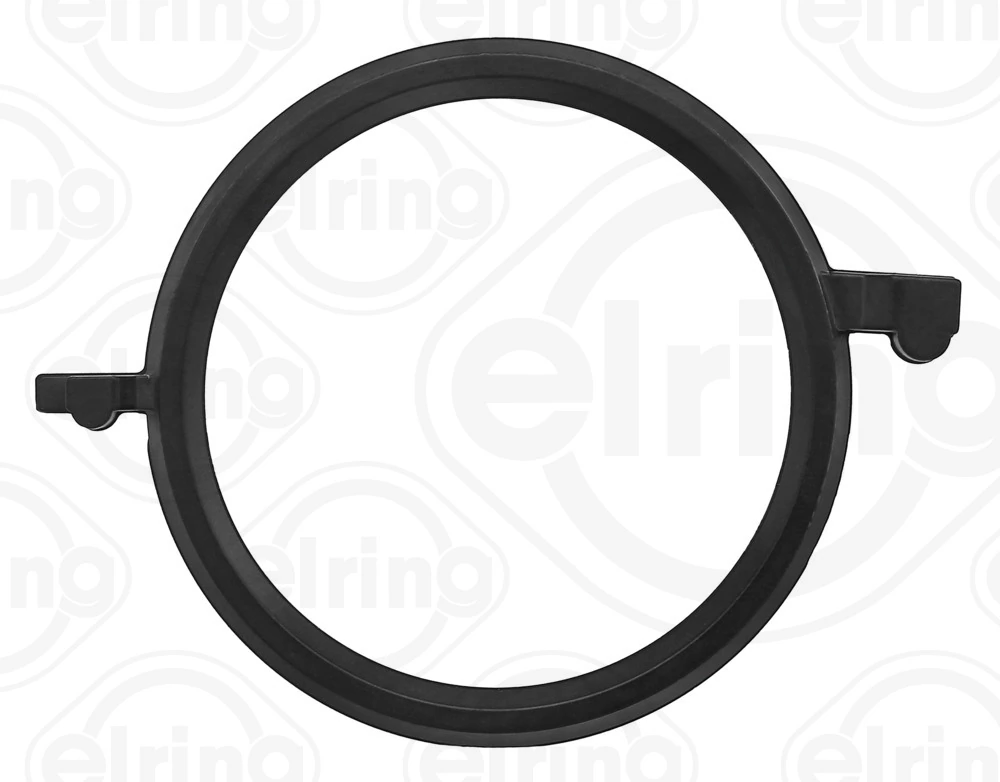Gasket, crankcase ventilation B10.880