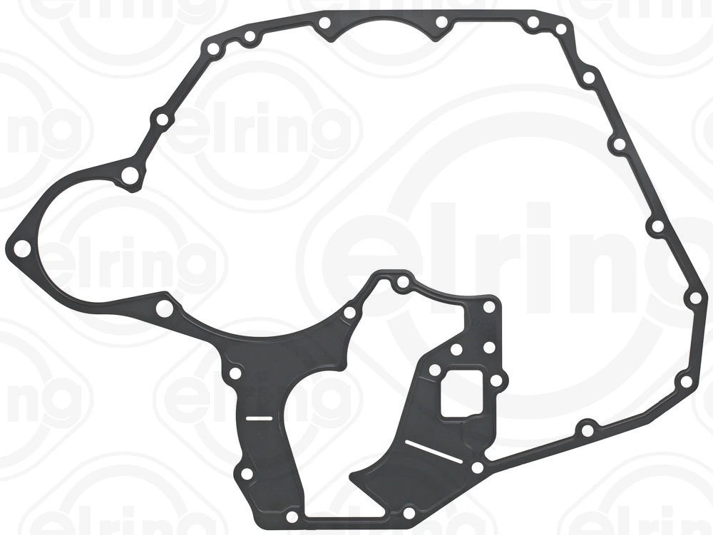 Gasket, timing case 008.891
