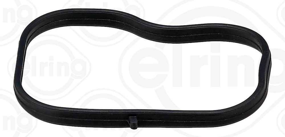 Gasket, intake manifold 569.290