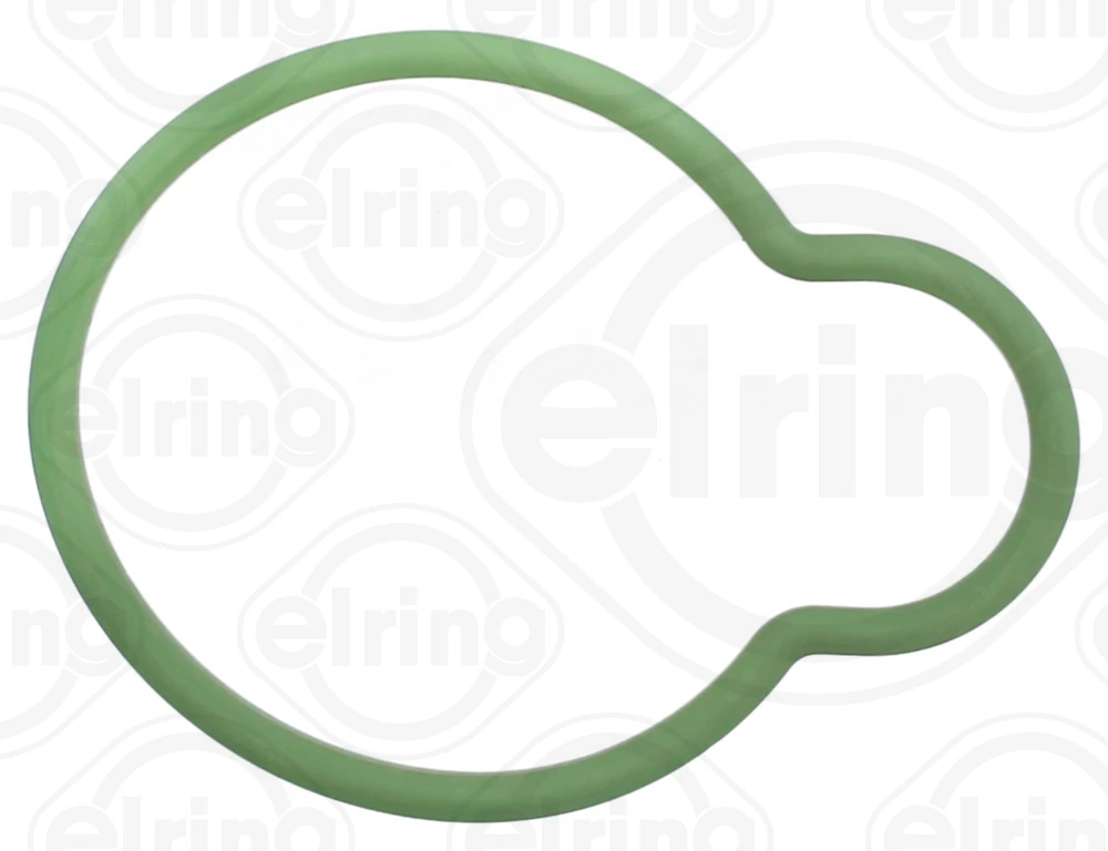 Gasket, intake manifold 900.109