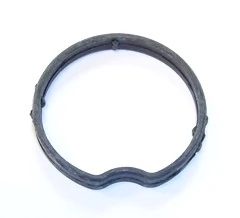 Gasket, thermostat housing 027.440