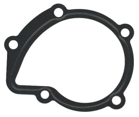 Gasket, water pump 754.044