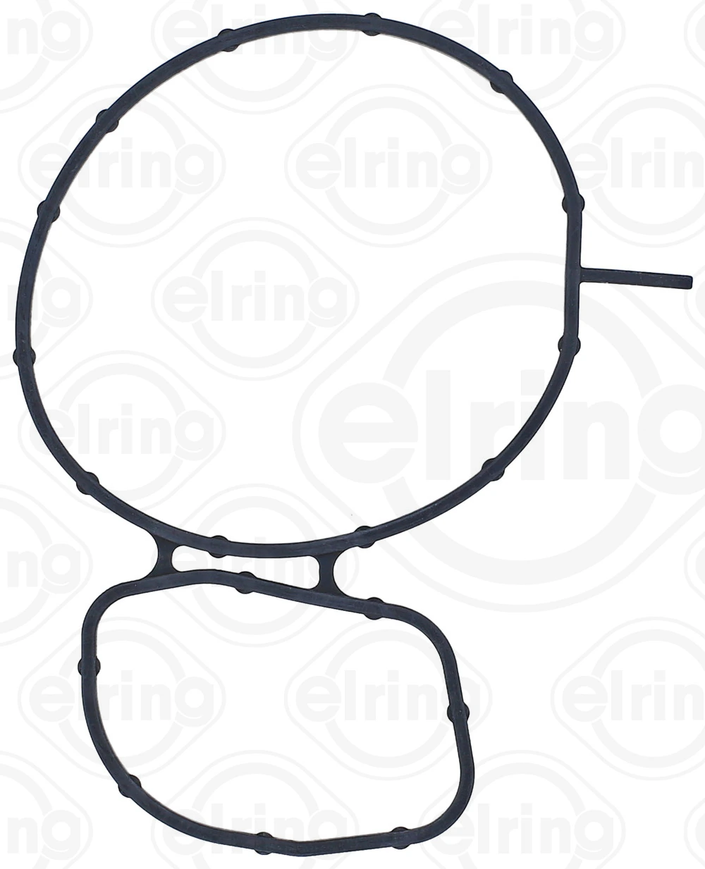 Gasket, water pump 429.510