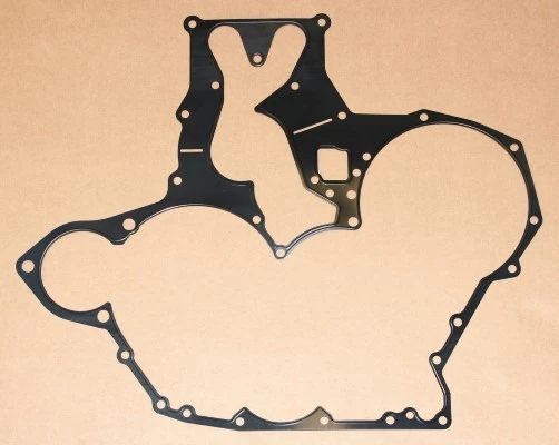 Gasket, timing case 008.880