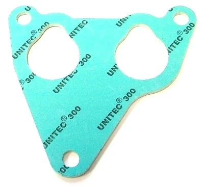 Gasket, intake manifold 737.120