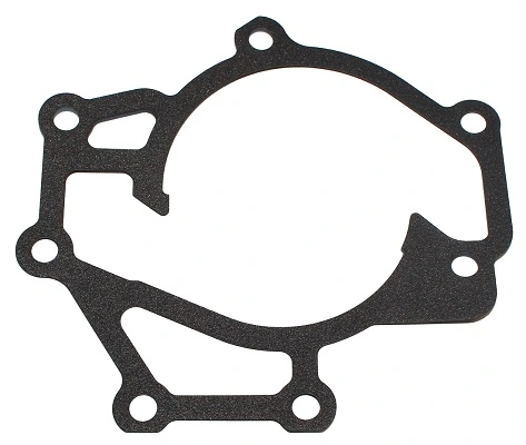 Gasket, water pump 225.200