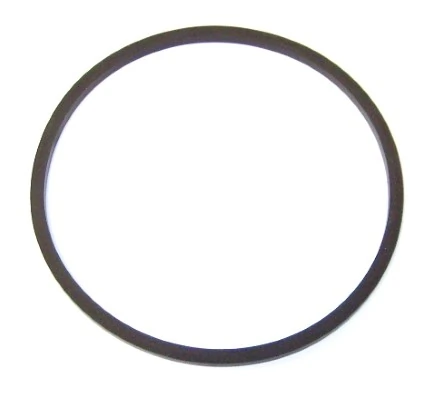 Seal Ring, fuel filter 733.431