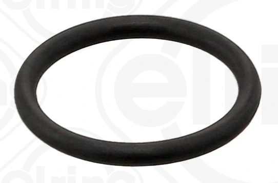 Seal Ring 818.402