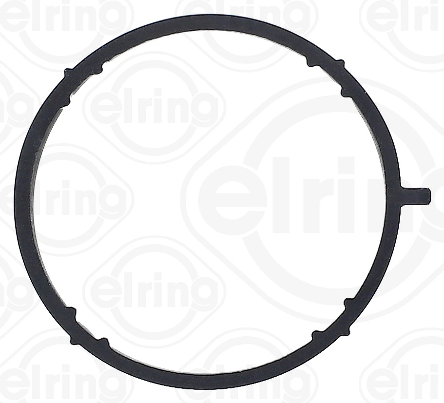 Gasket, EGR valve pipe 784.710