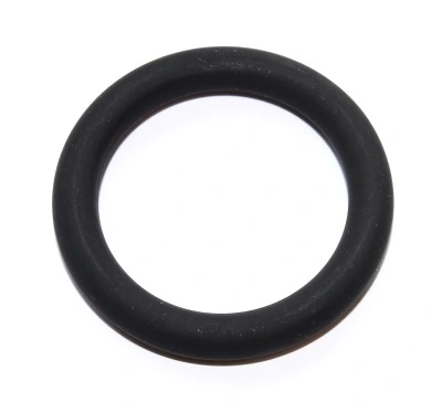 Seal Ring 003.360