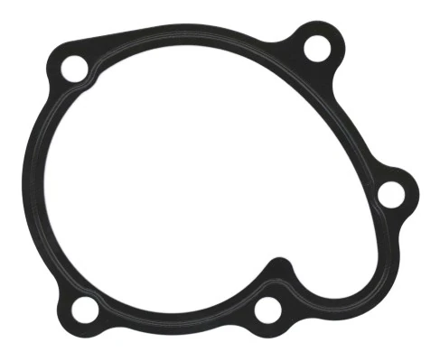 Gasket, water pump 238.460