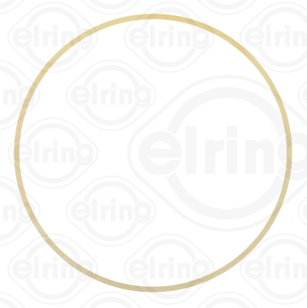 Gasket, cylinder liner B28.980