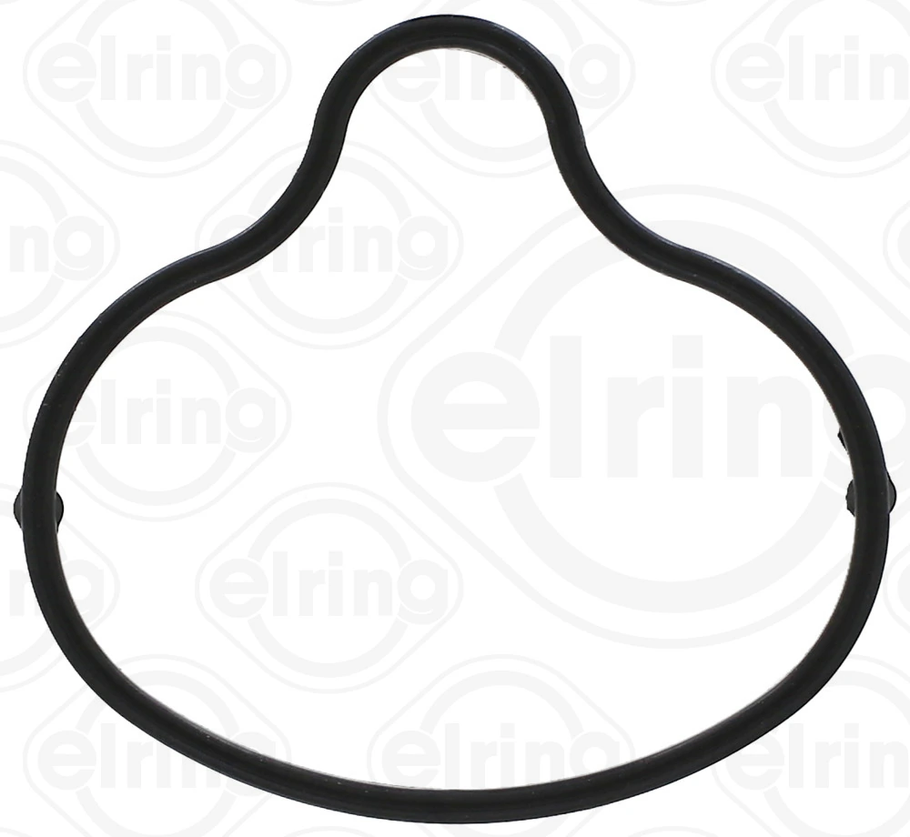 Gasket, intake manifold 727.920