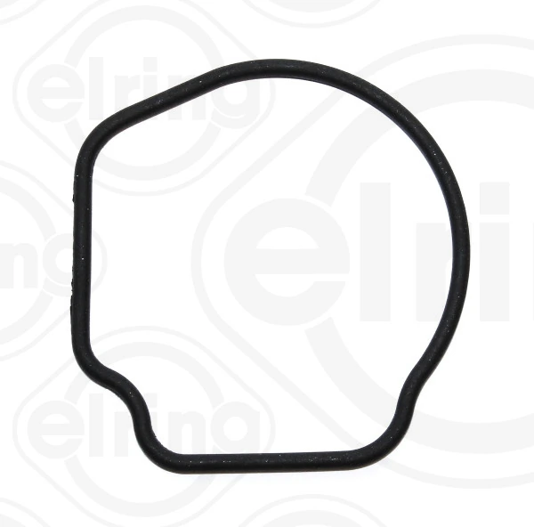 Gasket, thermostat housing 431.170
