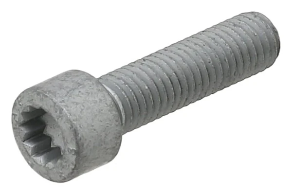 Screw 434.400
