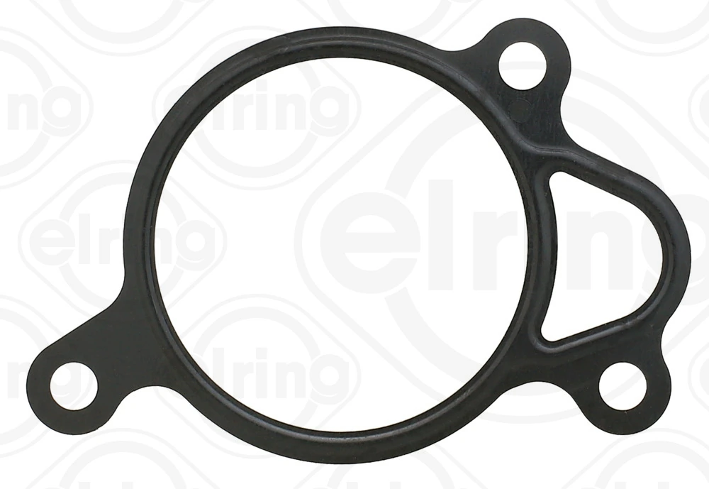 Gasket, EGR valve 022.940