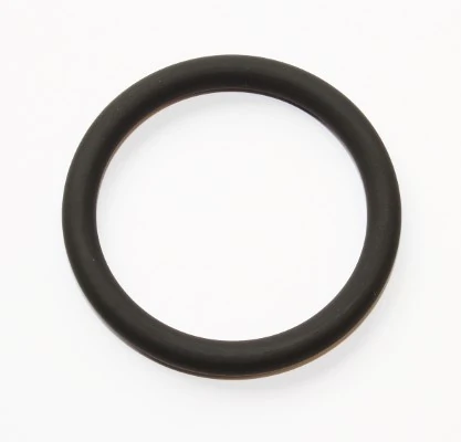 Seal Ring 199.310