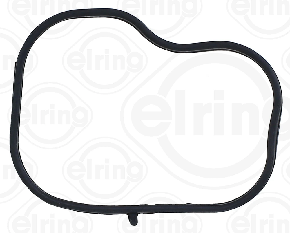 Gasket, intake manifold 569.290