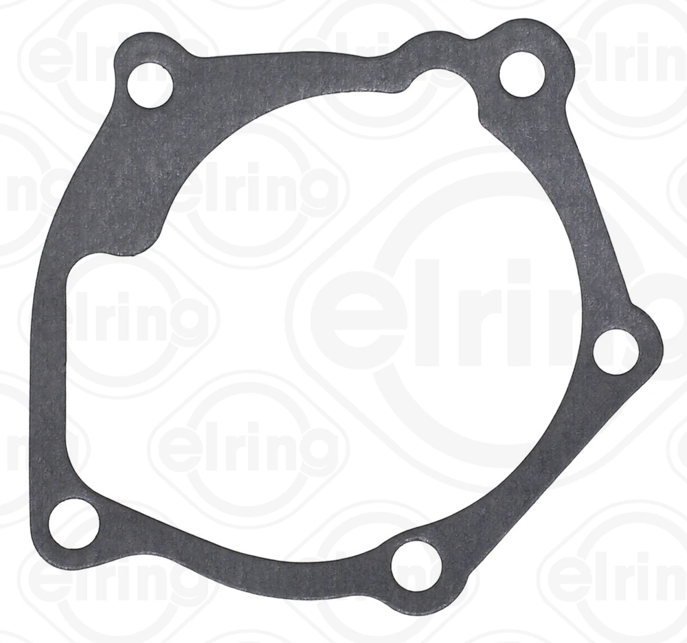 Gasket, water pump 890.120