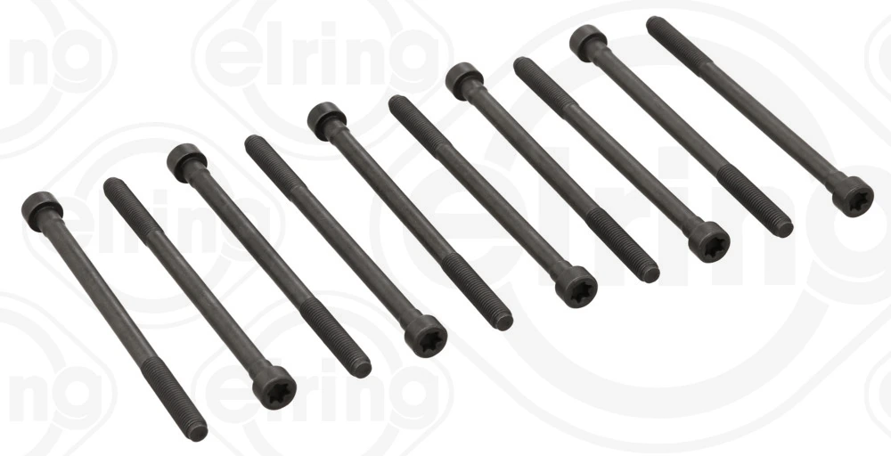 Cylinder Head Bolt Set 728.130
