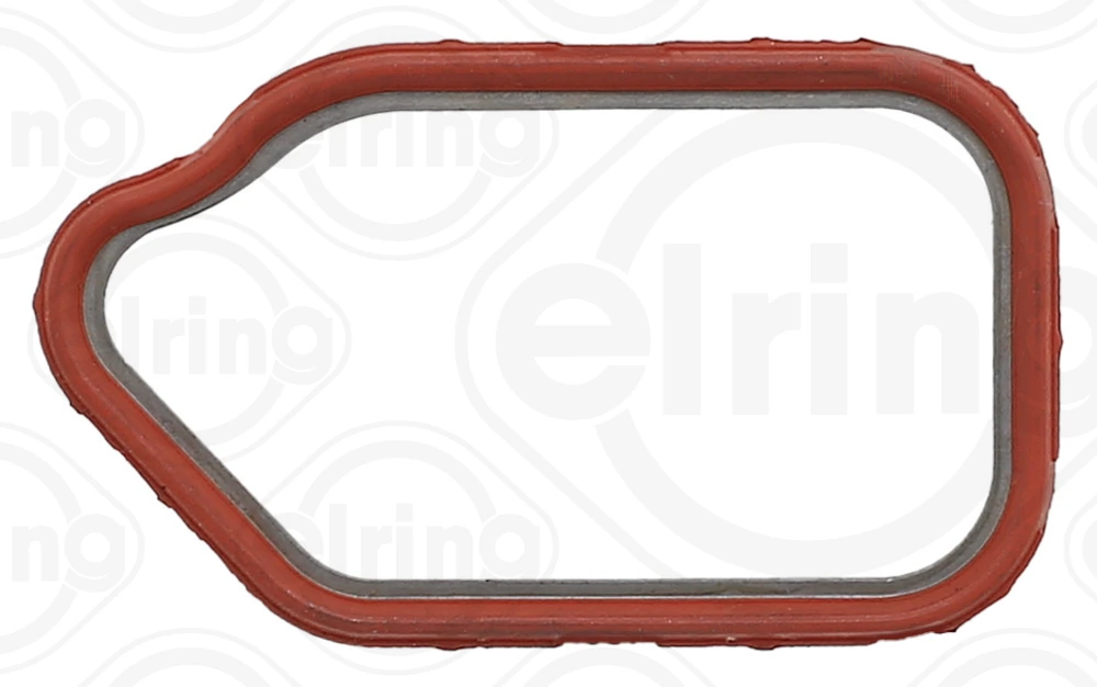 Gasket, timing case 356.140