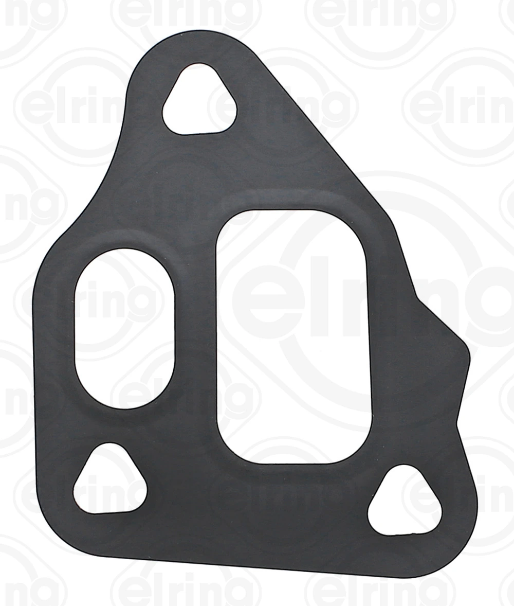 Gasket, EGR valve 689.310