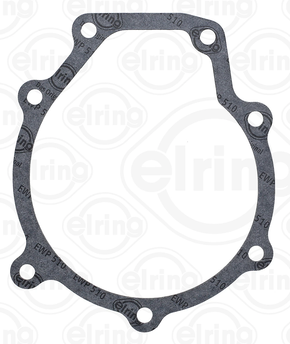 Gasket, water pump 201.091