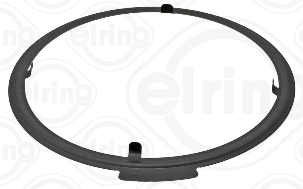 Gasket, EGR valve 005.250