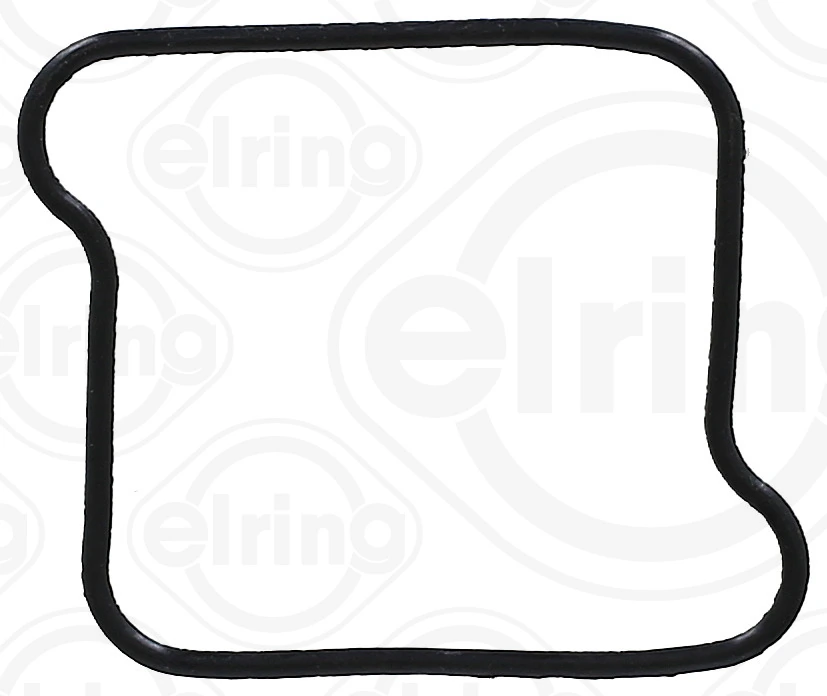 Seal, ignition coil 305.160