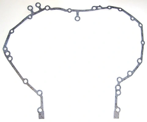 Gasket, timing case 499.530