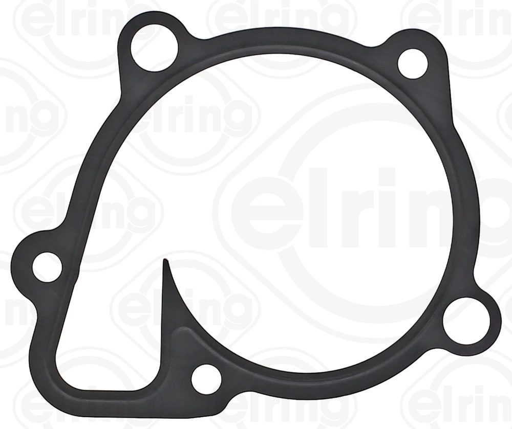 Gasket, water pump 966.860