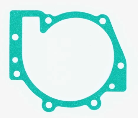 Gasket, water pump 393.841