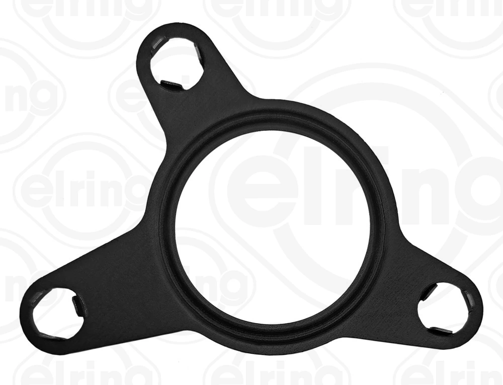Gasket, EGR valve B10.860