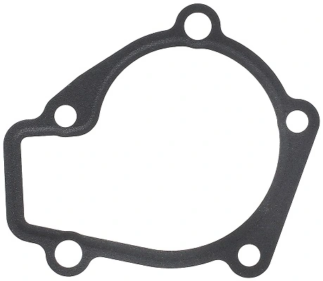 Gasket, water pump 453.030