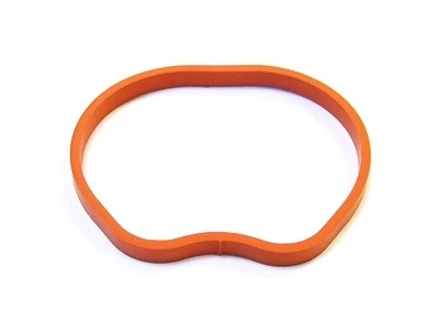 Gasket, intake manifold 025.260