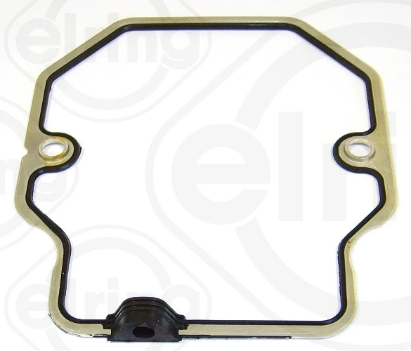 Gasket, cylinder head cover 100.013