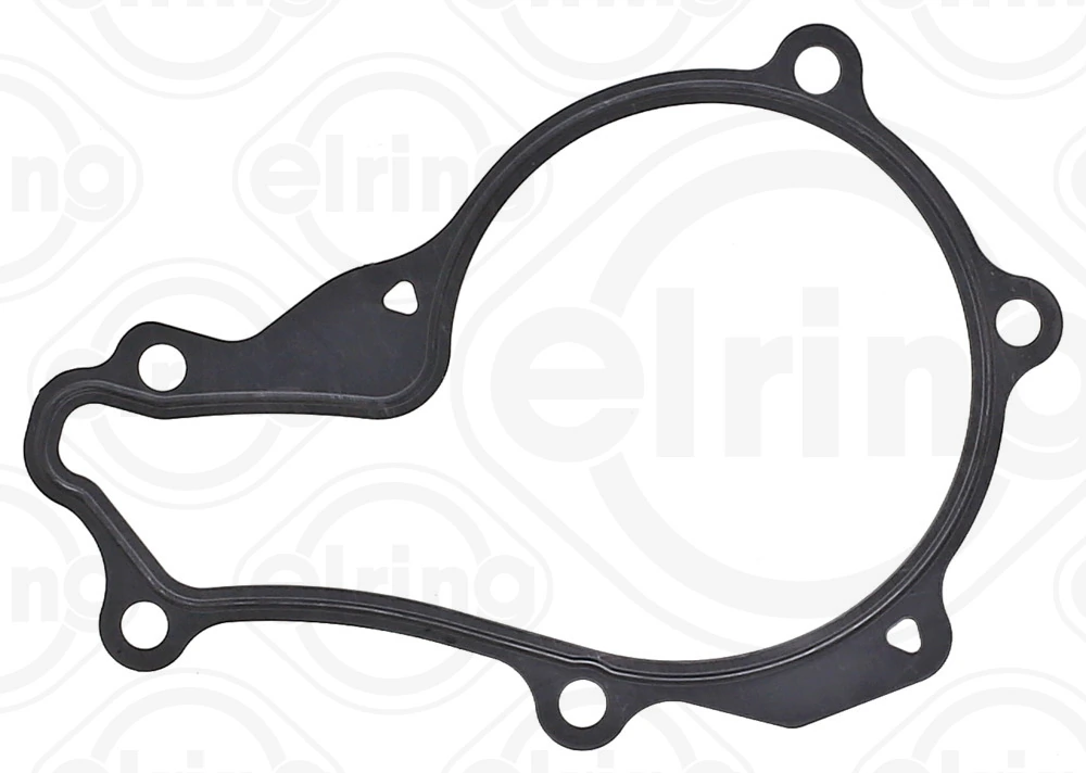 Gasket, water pump 569.350