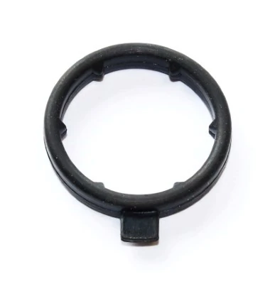 Gasket, coolant flange 248.230