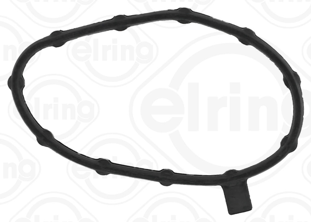 Gasket, oil pump 774.250