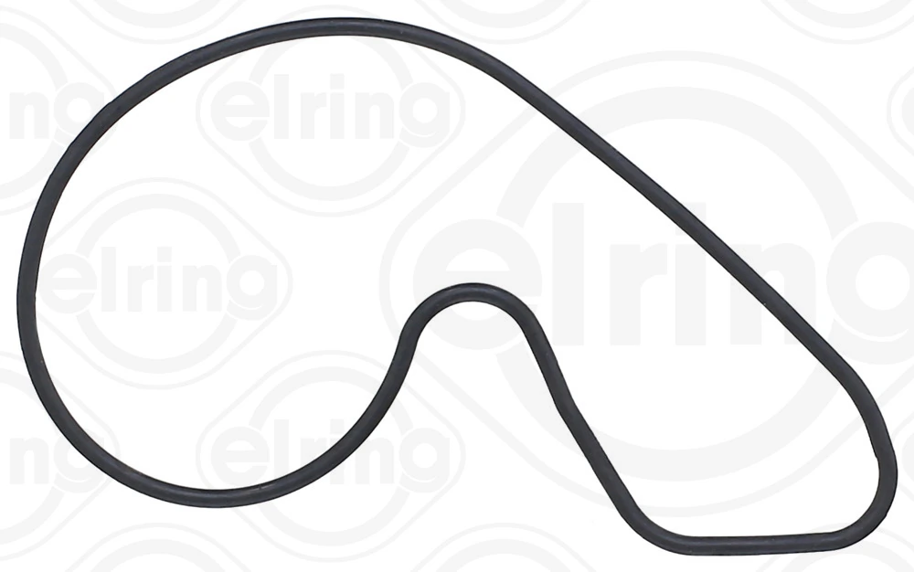 Gasket, water pump 845.830