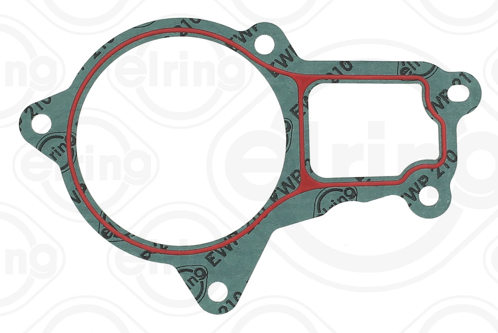 Gasket, water pump B19.010