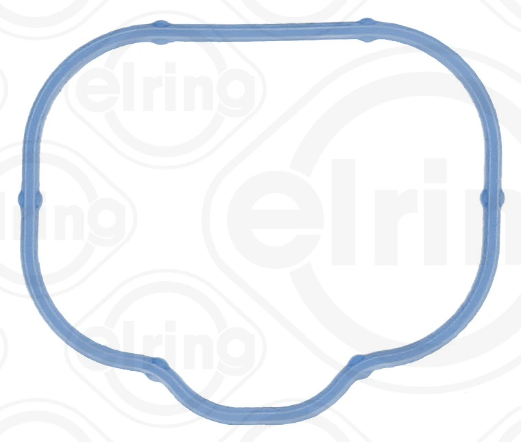 Gasket, intake manifold 524.330