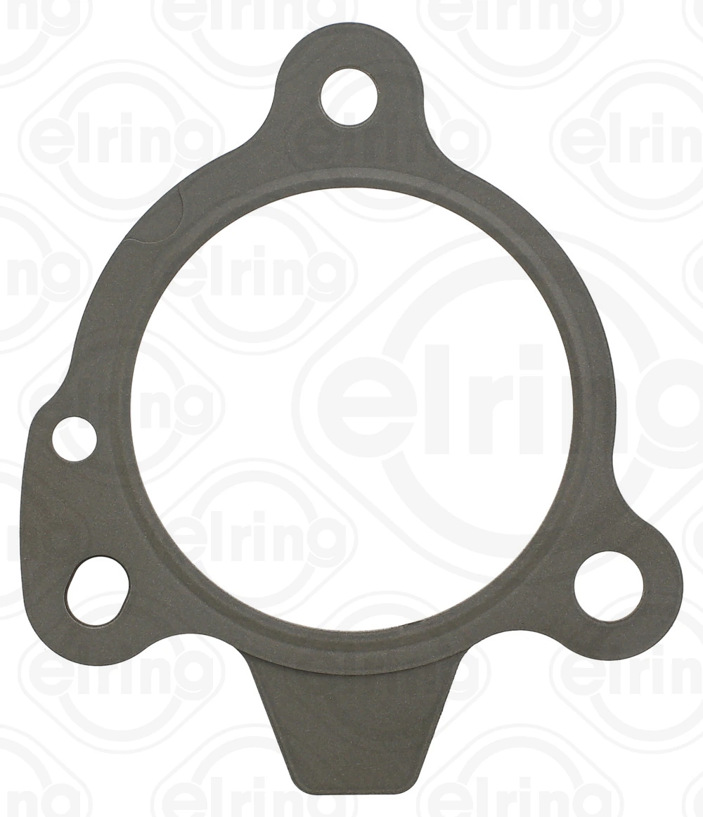 Gasket, exhaust pipe 697.610