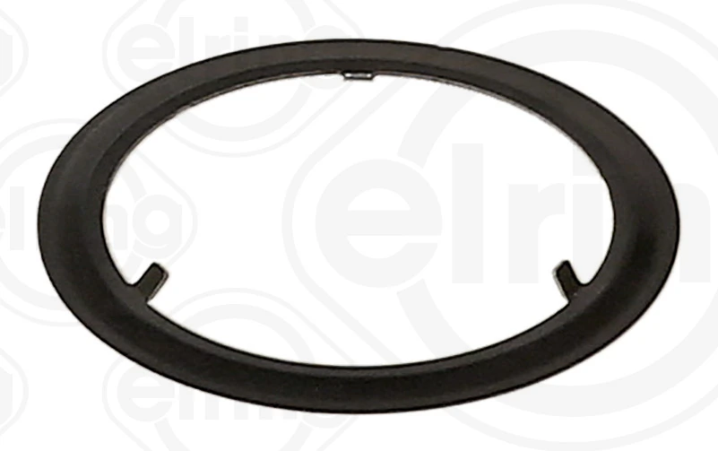 Seal Ring, injection valve (urea injection) 644.190